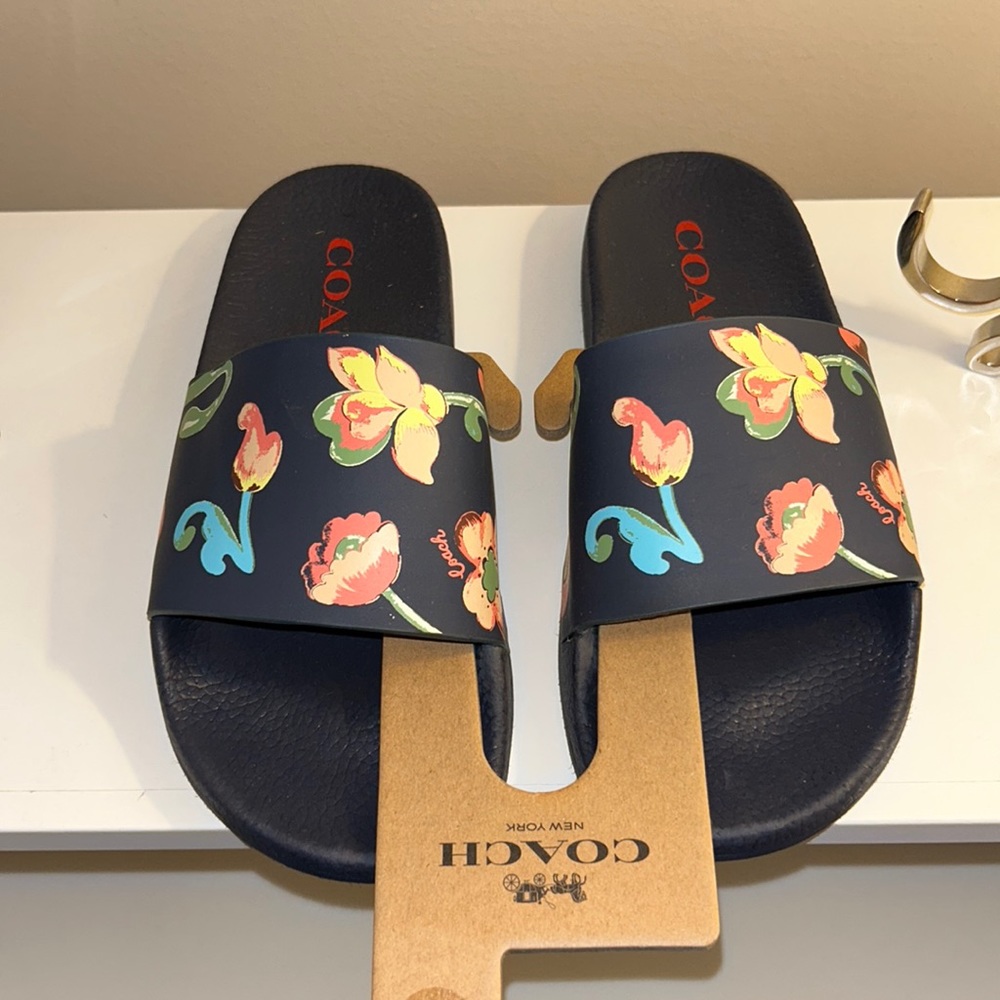 Coach Shower Slides
